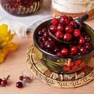 Lingonberry ceară pentru iarnă: rețete pentru fructe de padure cu zahăr și fără gătit