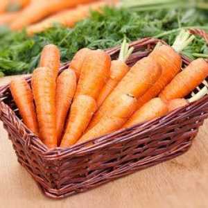 Cum să hrăniți morcovii în sol deschis