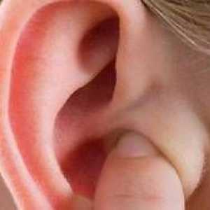 Care este tragusul urechii. Durerea când este presată
