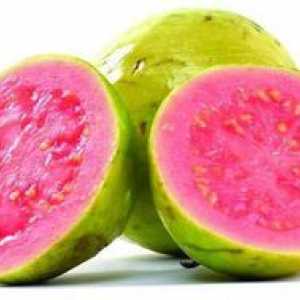 Guava fructe: proprietăți utile, contraindicații, deoarece există guava