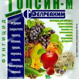 Fungicid topsin m: instrucțiuni de utilizare
