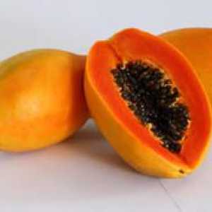 Unde creste si cum arata papaya, proprietatile utile ale fructelor