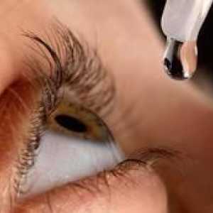 Picături pentru ochi `okoféron `: instrucțiuni de utilizare, preț