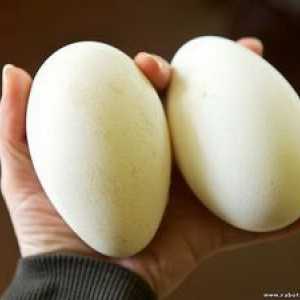 Găluște ouă: beneficii și rău, costuri