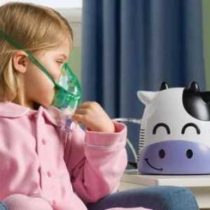 Inhalarea cu adulți beroduali și copii