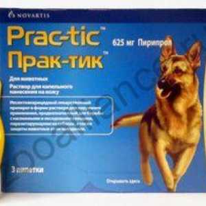 Instrucțiuni pentru utilizarea picăturilor de acarieni `Practic` pentru câini