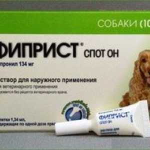 Instrucțiuni de utilizare a medicamentului fistprist la fața locului pentru câini și pisici