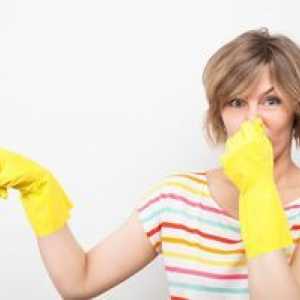 Cum sa scapi de mirosurile neplăcute din apartament
