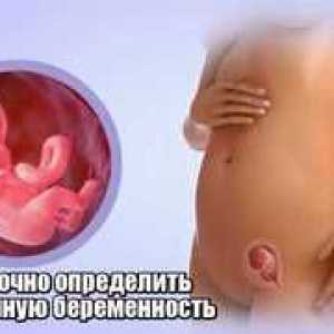 Cum se determină o sarcină ectopică