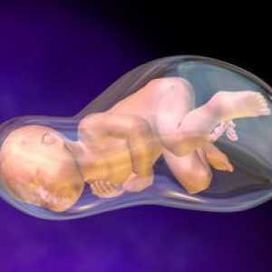 Cum curge lichidul amniotic de la femeile gravide - sfaturi de specialitate