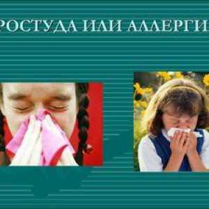 Cum să distingi alergia de răceli la adulți și copii