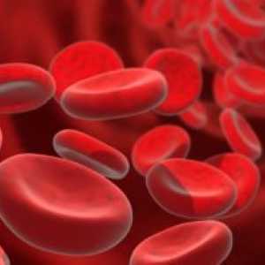 Cum de a crește nivelul hemoglobinei unui copil?