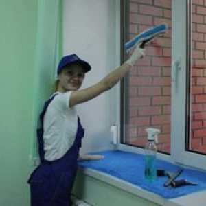 Cum se spală ferestrele fără divorț: mijloace pentru spălare și vârfuri