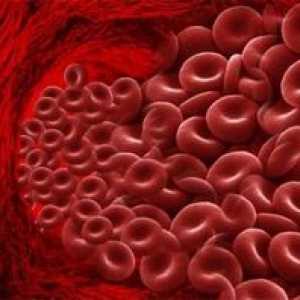 Cum de a scădea nivelul hemoglobinei în sângele unui bărbat?