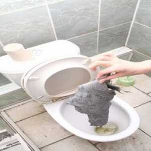 Cum de a curăța toaleta de la înfundarea acasă