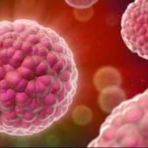 Cum se trece analiza HPV: tratamentul papilomavirusului la femei