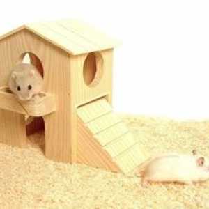 Cum sa faci o casa pentru un hamster cu mainile tale