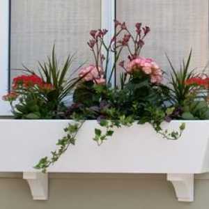 Cum de a alege cutii de balcon pentru flori pe balcon?