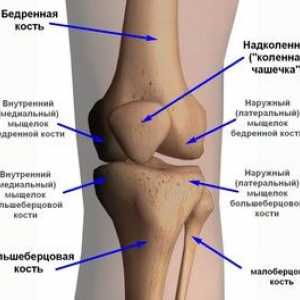 Care sunt bolile genunchiului: descriere și nume