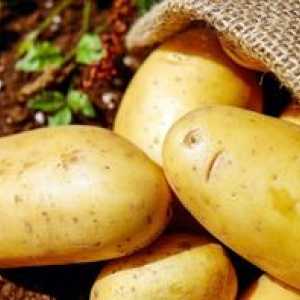 Zequara Potato: descriere și descriere