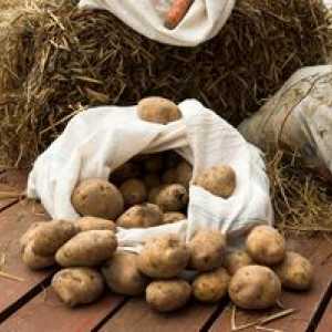 Cartofi la domiciliu și cum se depozitează în locuri diferite