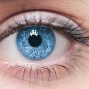 Sacul conjunctival al ochiului: care este aceasta, unde este situată această cavitate?