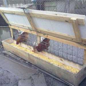 Hrănire pentru găini făcute de mâini