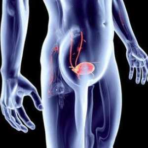 Tratamentul cancerului vezicii urinare la bărbați