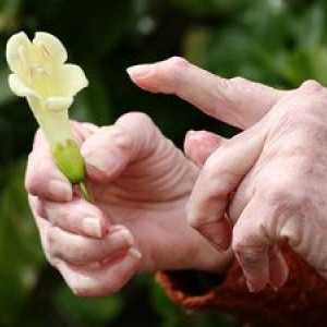 Tratamentul artritei reumatoide la domiciliu cu remedii folclorice