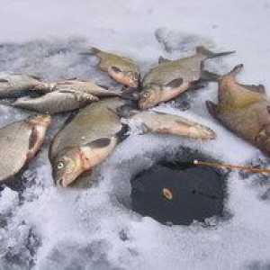 Prăjire în timpul iernii: sfaturi pentru pescuitul de iarnă de succes din gheață