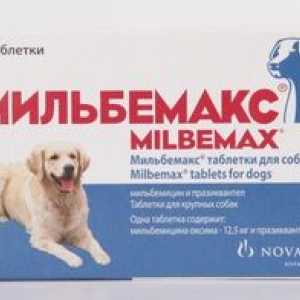 Milbemax pentru pisici și câini de la viermi. Instrucțiuni de utilizare