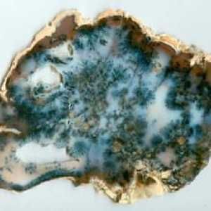 Moss agate: caracteristici de piatră și galerie foto
