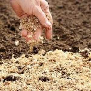 Mulcirea solului - ce este și cum să o faceți în mod corespunzător?