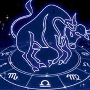 Male-Taur prin semnul zodiacului, caracteristicile sale