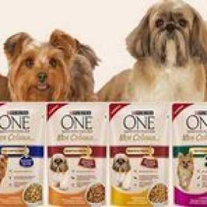 Prezentare generală a hranei pentru câini pentru rasele mici din purină