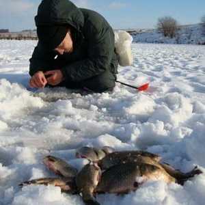 Caracteristicile de captură de crap în timpul iernii pe mormyshku și float tackle