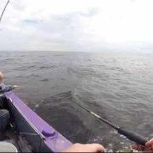 Pescuit excelent în rezervorul Rybinsk