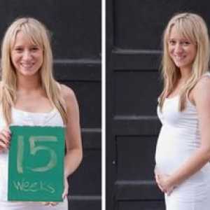 Cincisprezece săptămâni de sarcină: senzațiile și dimensiunile fătului