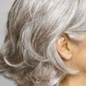 De ce părul gri: cauzele și măsurile de prevenire