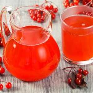 Proprietăți utile de suc de la viburnum, rețete de gătit