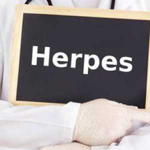 Herpes genital: simptome, fotografie a bolii