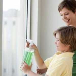 Îngrijire adecvată pentru geamurile din plastic, pervazurile ferestrelor și pantele