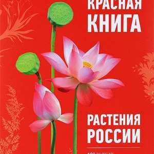 Plantele care sunt enumerate în cartea roșie a Rusiei