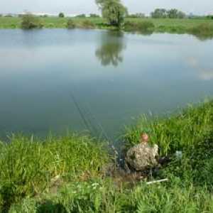 Râuri și lacuri pentru pescuit în regiunea Ivanovo