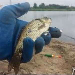 Pescuitul în regiunea Chelyabinsk: lacuri plătite și gratuite