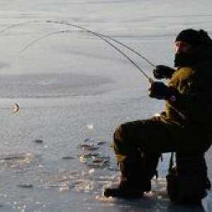 Pescuitul pe teritoriul Primoarei: specii de pești care trăiesc în Primorye