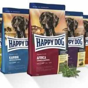 Fericit câine sau câine alimentare `câine fericit`: descriere