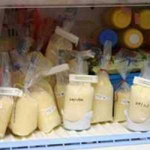 Cat timp laptele matern poate fi depozitat in frigider