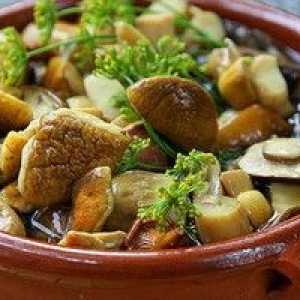 Ciuperci sărate: rețete de gătit