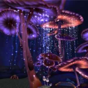 Interpretarea visului: de ce ar trebui să vezi ciupercile într-un vis? Visele și realitatea